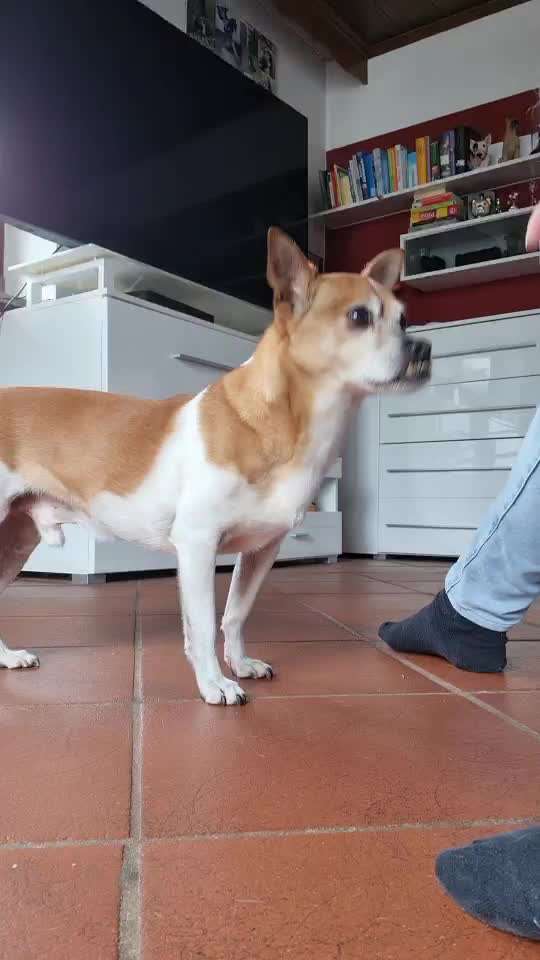 TRICK CHALLENGE NR. 10-Beitrag-Bild