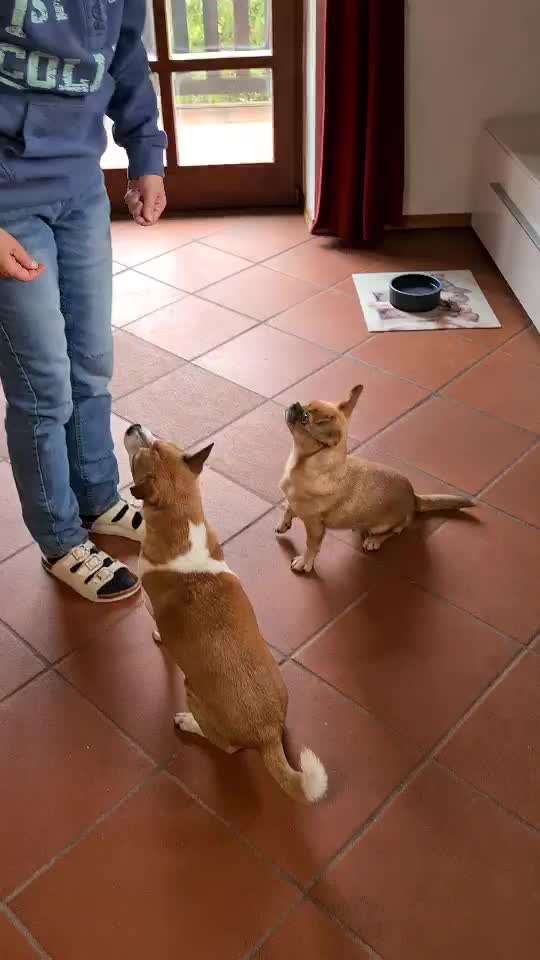 𝕋ℝ𝕀ℂ𝕂 ℂℍ𝔸𝕃𝕃𝔼ℕ𝔾𝔼 ℕℝ. 𝟙-Beitrag-Bild