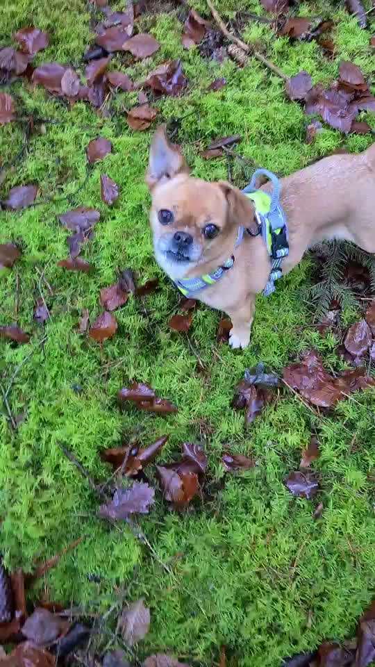 Trick Challenge Nr.5-Beitrag-Bild