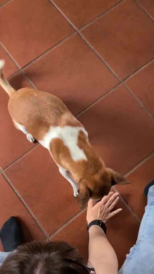 TRICK CHALLENGE NR. 10-Beitrag-Bild