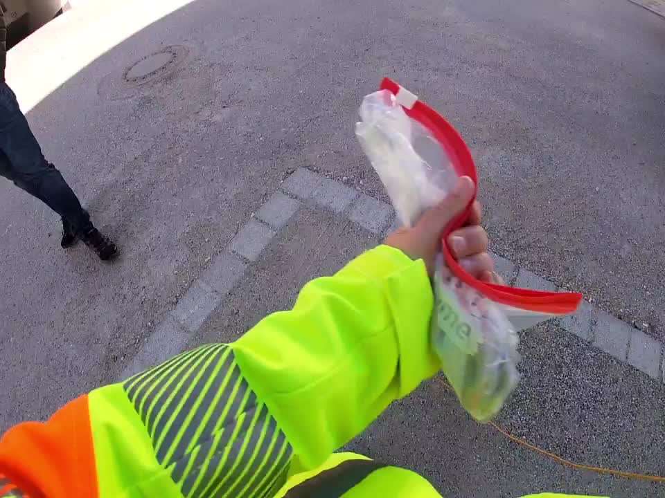 Mantrailing-Beitrag-Bild