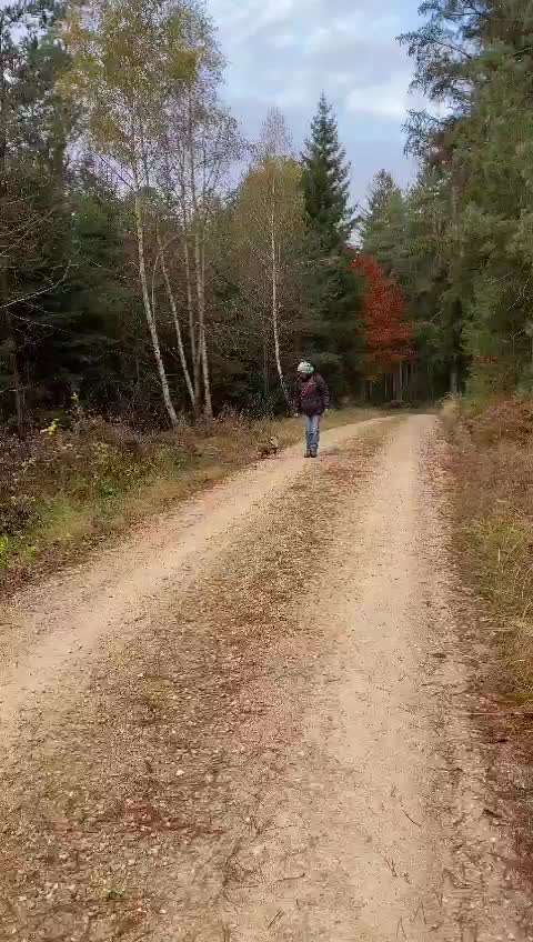 𝕋ℝ𝕀ℂ𝕂 ℂℍ𝔸𝕃𝕃𝔼ℕ𝔾𝔼 ℕℝ. 𝟙-Beitrag-Bild