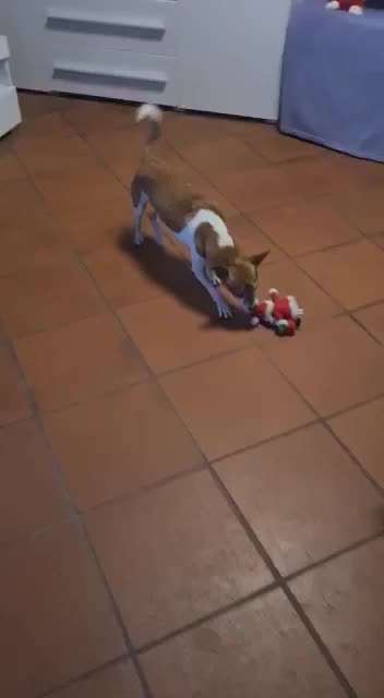 Trick Challenge NR 22 "Ziehen"-Beitrag-Bild