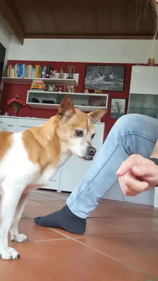 TRICK CHALLENGE NR. 10-Beitrag-Bild