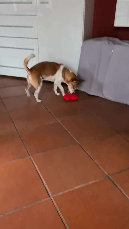 Trick Challenge 13 - Etwas Halten-Beitrag-Bild