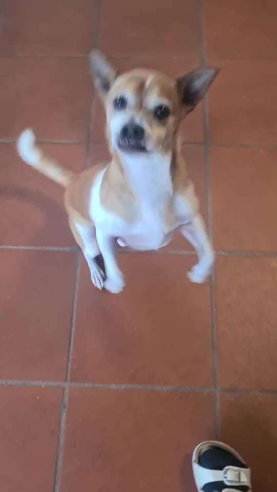 𝕋ℝ𝕀ℂ𝕂 ℂℍ𝔸𝕃𝕃𝔼ℕ𝔾𝔼 ℕℝ. 𝟙-Beitrag-Bild