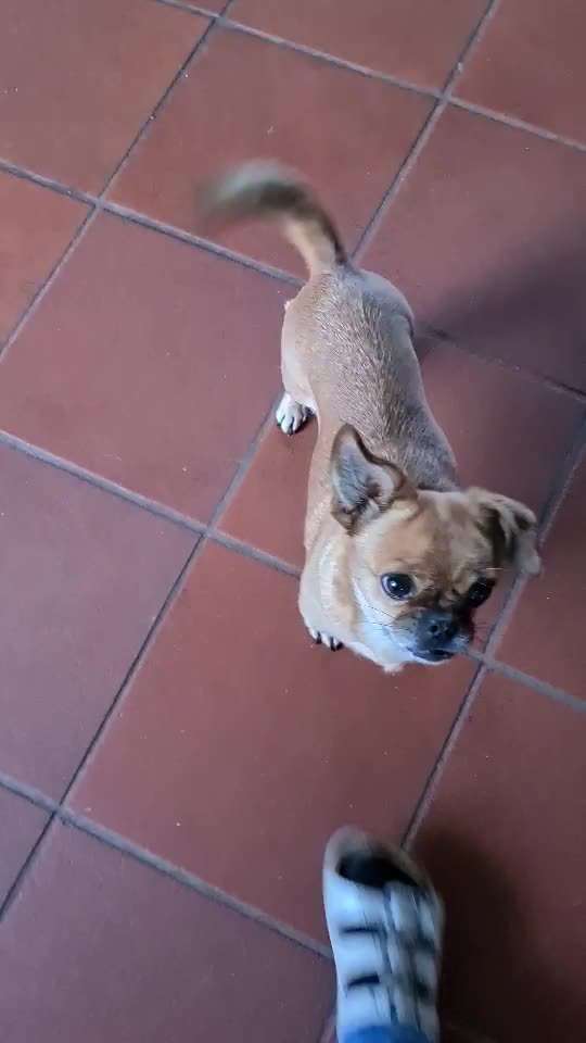 Trick Challange Nr 3-Beitrag-Bild