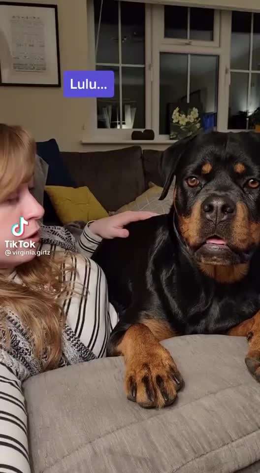 Hier ist der Spaßthread. Zum Schmunzeln und Kaputtlachen-Beitrag-Bild