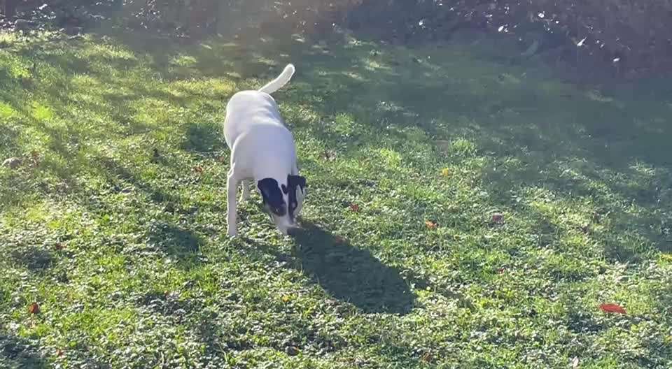 "Wege zur Freundschaft" (Ulli Reichmann)-Beitrag-Bild