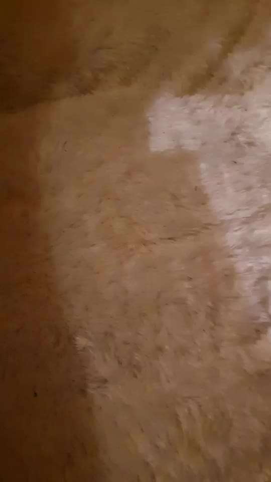 Erfahrung mit Wolkenbett-Beitrag-Bild