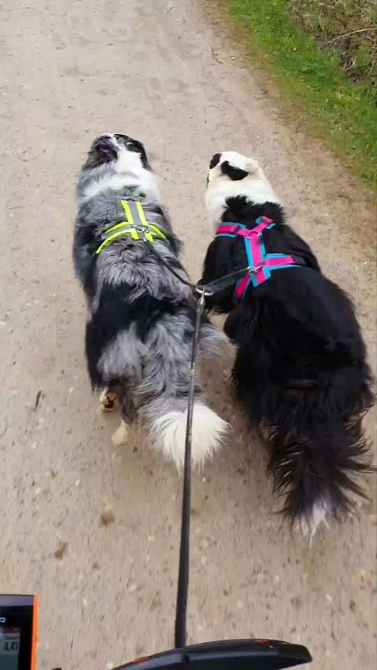 Fotochallenge 108: Starkes Team-Beitrag-Bild