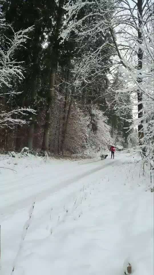 Fotochallenge 108: Starkes Team-Beitrag-Bild