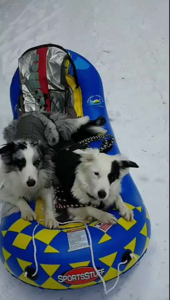 Fotochallenge 108: Starkes Team-Beitrag-Bild