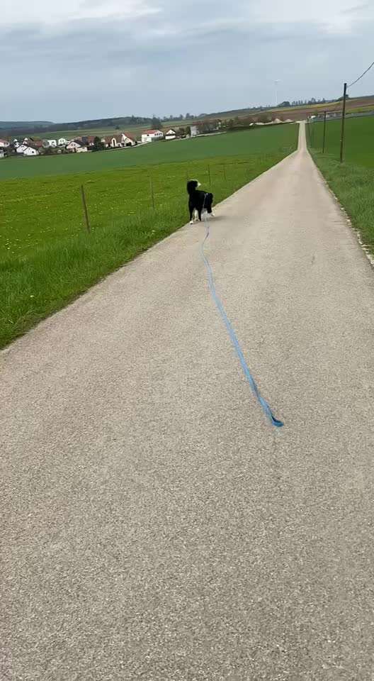 HANDY VIDEO CHALLENGE NR. 30: RÜCKRUF-Beitrag-Bild