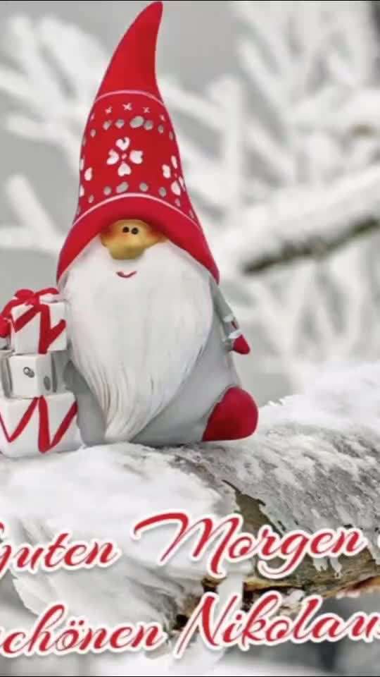 Action-Fun Hund- Aventskalender-Beitrag-Bild