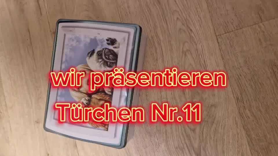 Action-Fun Hund- Aventskalender-Beitrag-Bild