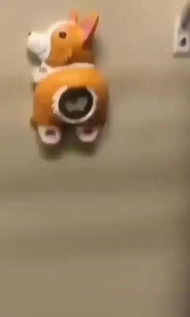 Hier ist der Spaßthread. Zum Schmunzeln und Kaputtlachen-Beitrag-Bild