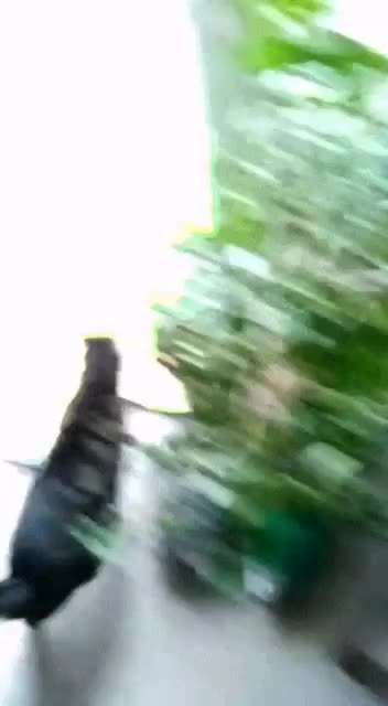 Hier ist der Spaßthread. Zum Schmunzeln und Kaputtlachen-Beitrag-Bild