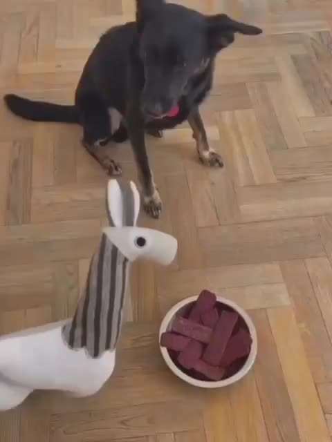 Hier ist der Spaßthread. Zum Schmunzeln und Kaputtlachen-Beitrag-Bild