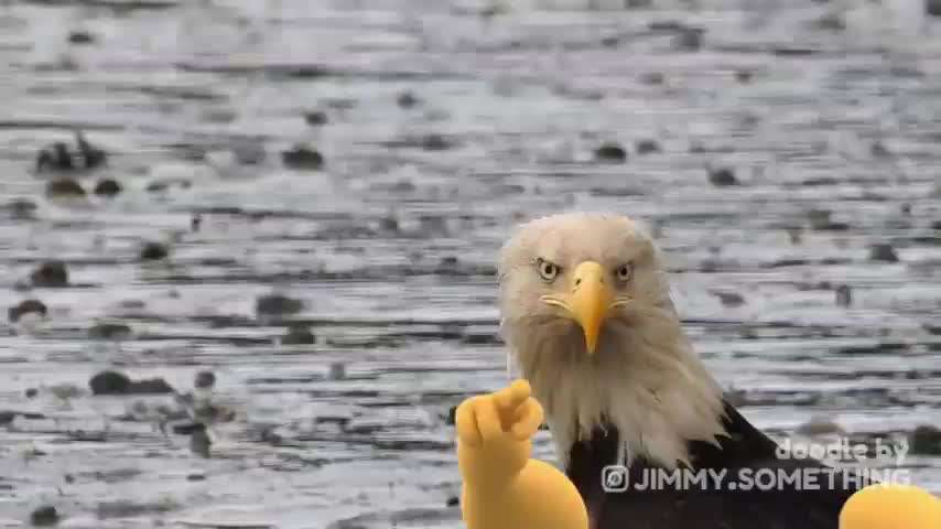 Hier ist der Spaßthread. Zum Schmunzeln und Kaputtlachen-Beitrag-Bild