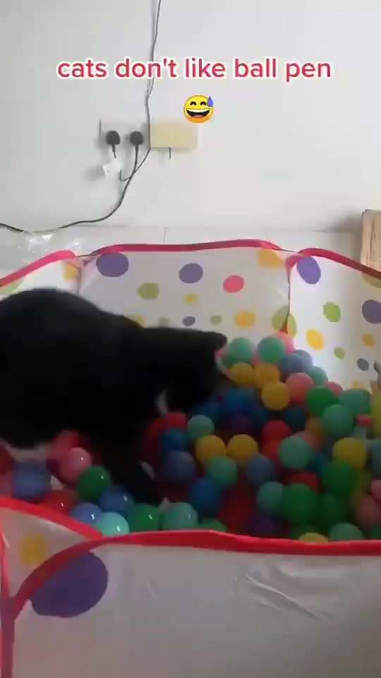 Hier ist der Spaßthread. Zum Schmunzeln und Kaputtlachen-Beitrag-Bild