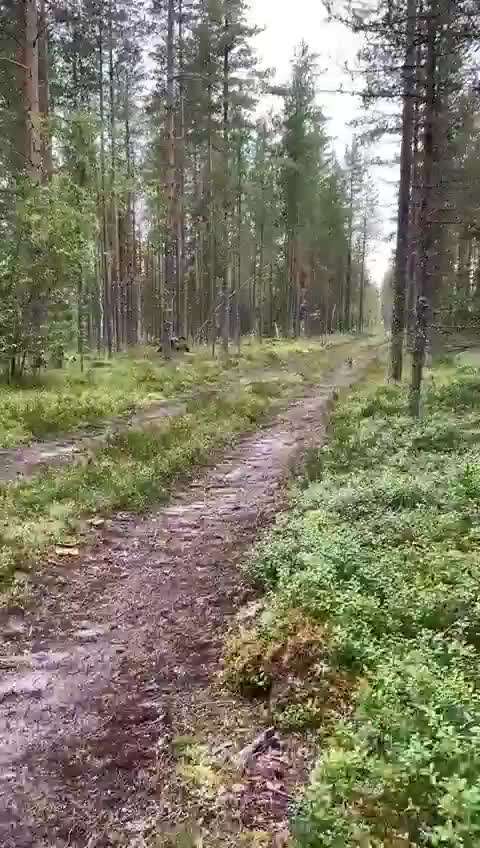 Hier ist der Spaßthread. Zum Schmunzeln und Kaputtlachen-Beitrag-Bild