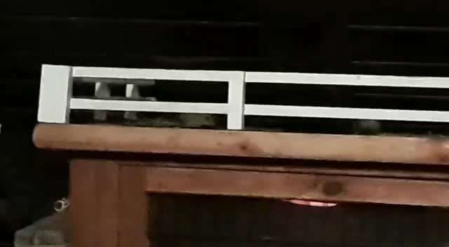 Hier ist der Spaßthread. Zum Schmunzeln und Kaputtlachen-Beitrag-Bild