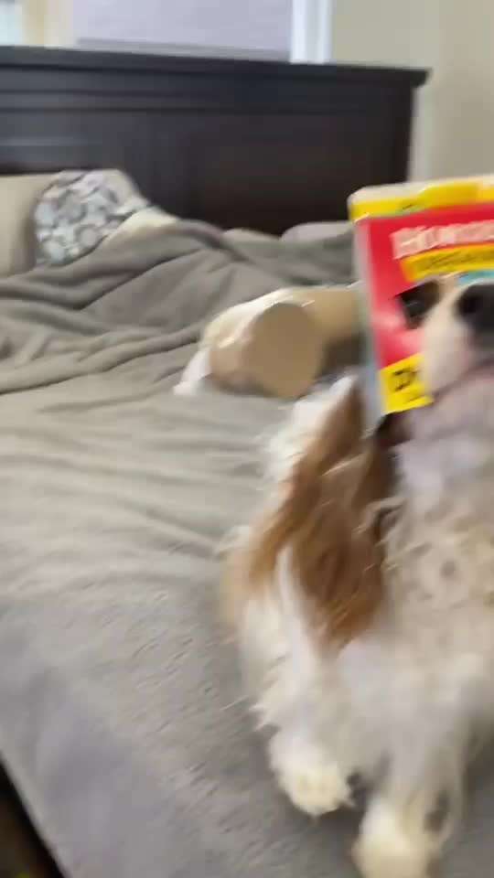 Hier ist der Spaßthread. Zum Schmunzeln und Kaputtlachen-Beitrag-Bild