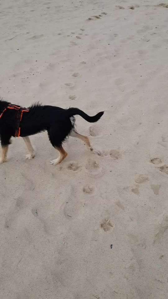 23. Kurzgeschichten - Auf zu neuen Abenteuern-Beitrag-Bild