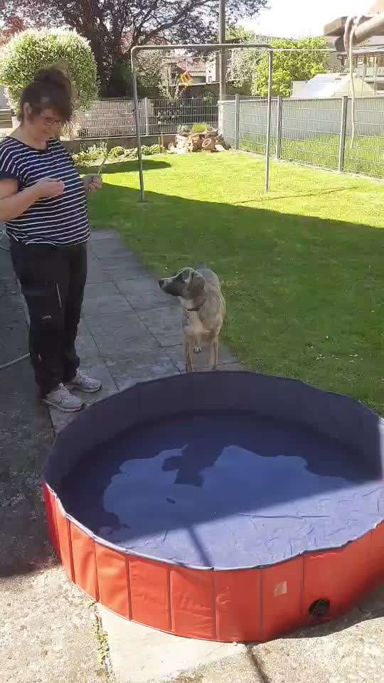 TierschutzhundeStammtisch🐕-Beitrag-Bild