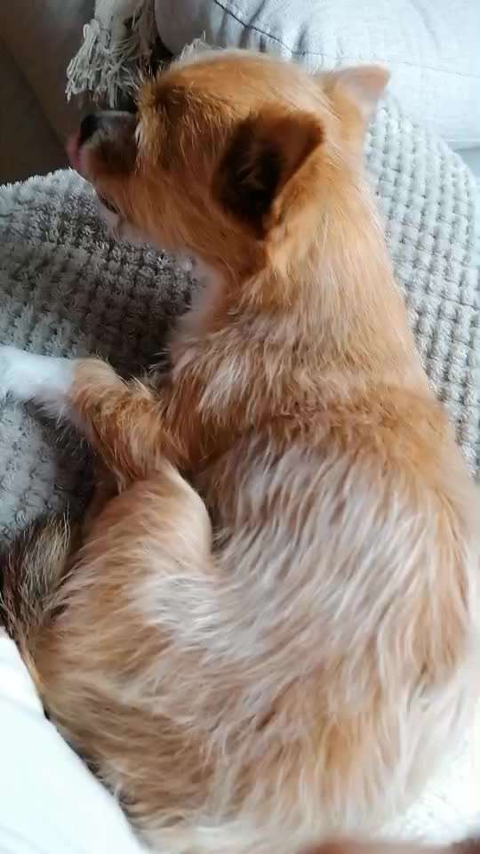 Wer kennt auch so ein Verhalten?-Beitrag-Bild