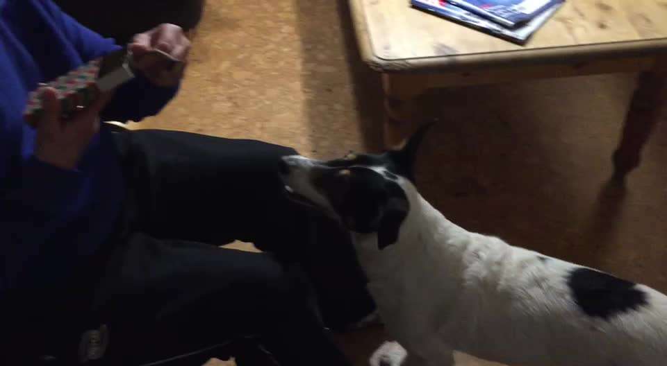 Beschäfitigung in der Wohnung-Beitrag-Bild