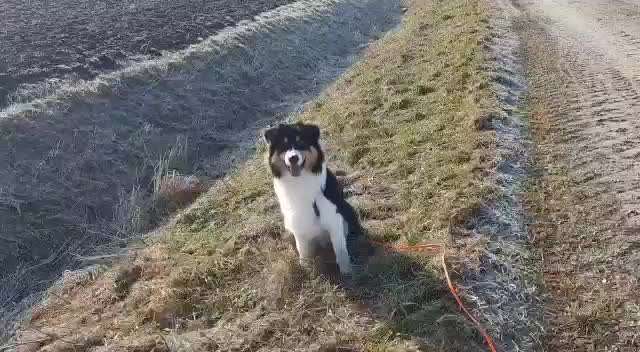 Handy Video Challenge Nr. 38 - Drüber springen-Beitrag-Bild