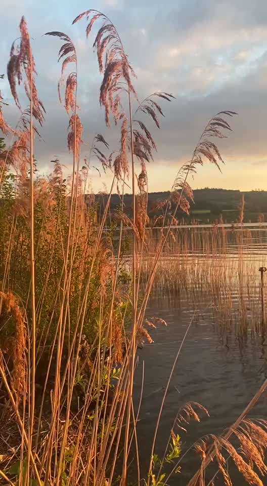 50. Video Challenge - Wasserscheu oder nicht-Beitrag-Bild