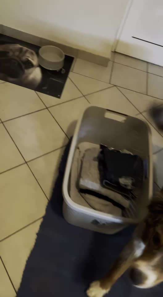 Trick Challenge Nr.5-Beitrag-Bild