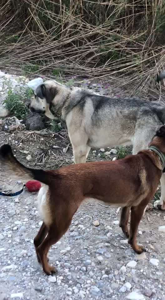 Freddys Kummerkasten-Beitrag-Bild