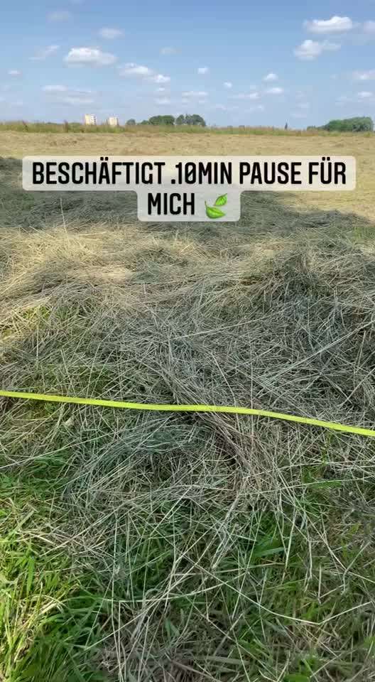 Welpe isst alles vom Boden-Beitrag-Bild