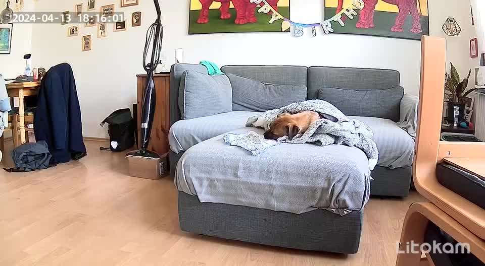 Allein bleiben üben - eure Meinung zu Videos-Beitrag-Bild