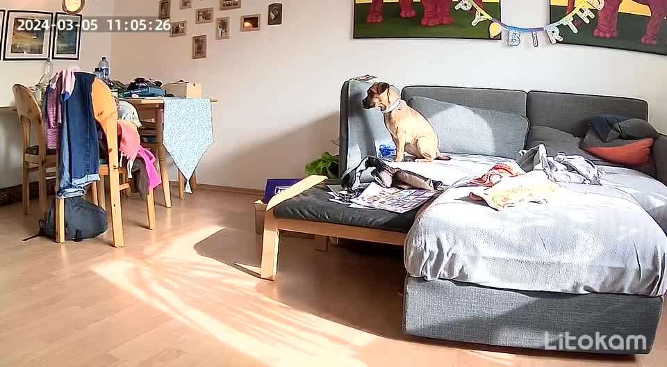 Allein bleiben üben - eure Meinung zu Videos-Beitrag-Bild