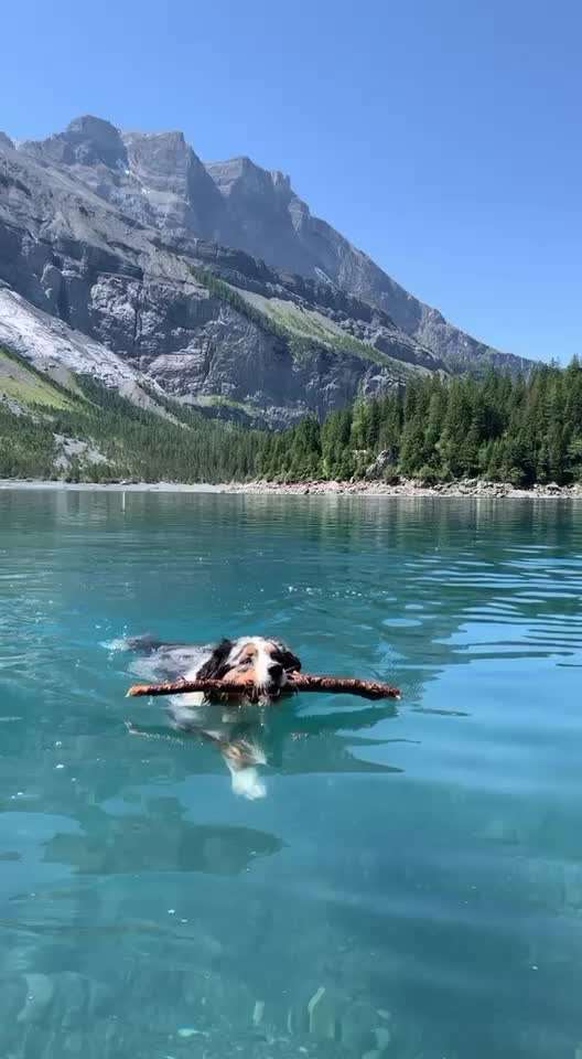 Lieblingsbild-Beitrag-Bild