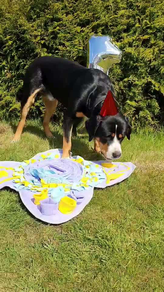 Video Challenge Nr. 4 - Lecker, Lecker-Beitrag-Bild