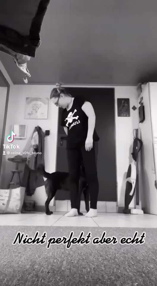 Trickdogging-Beitrag-Bild