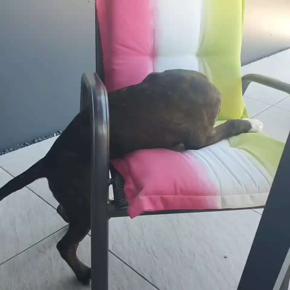 LUSTIGE FOTOS! WER KANN MITHALTEN?-Beitrag-Bild