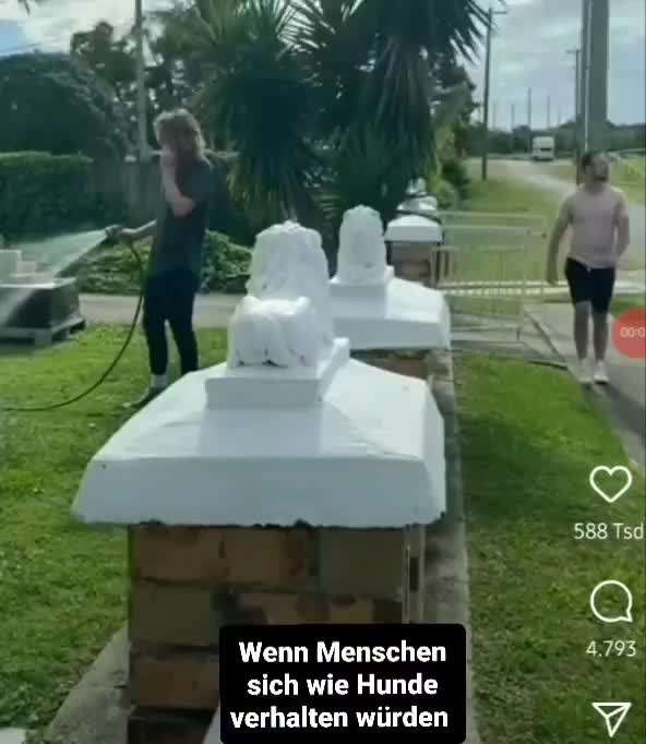 Hier ist der Spaßthread. Zum Schmunzeln und Kaputtlachen-Beitrag-Bild