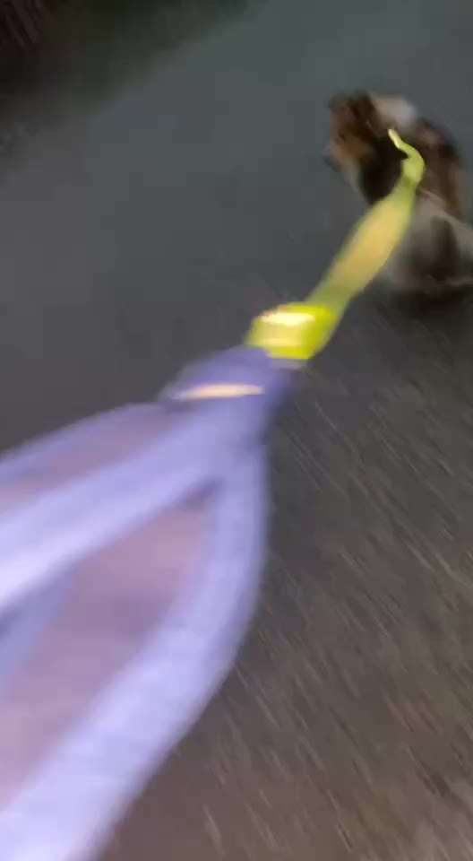 Gangbild/-analyse-Beitrag-Bild