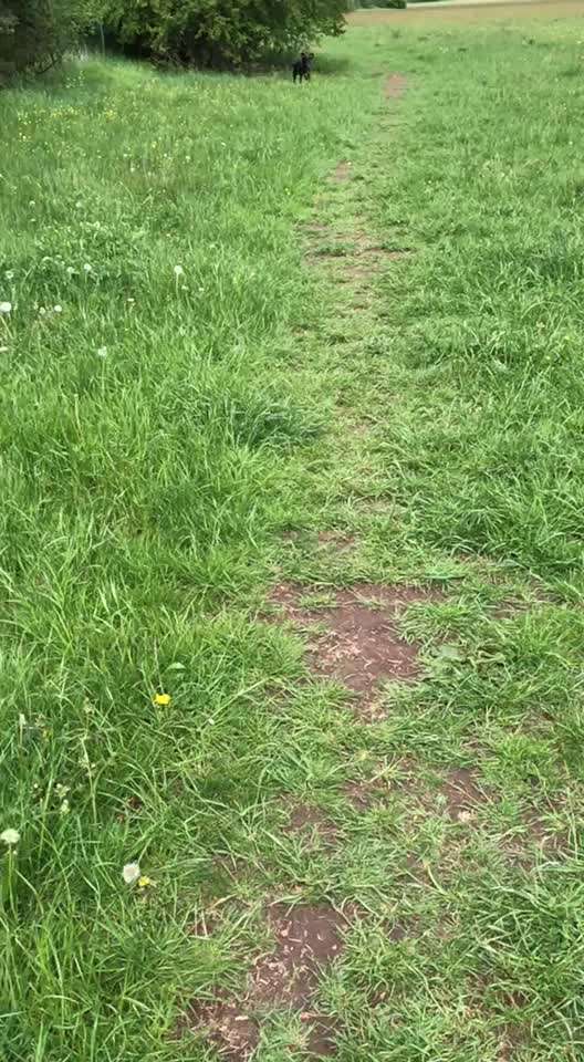 Die Dogorama Kalender Challenge 4/4-Beitrag-Bild