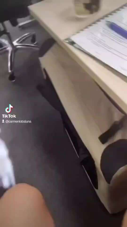 Trickdogging-Beitrag-Bild