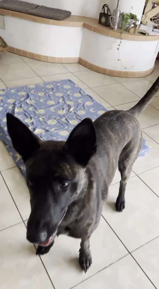 Trick Challenge Nr. 8-Beitrag-Bild