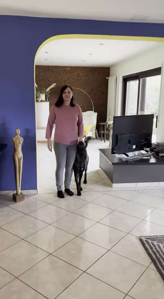 Trick Challenge Nr 6-Beitrag-Bild