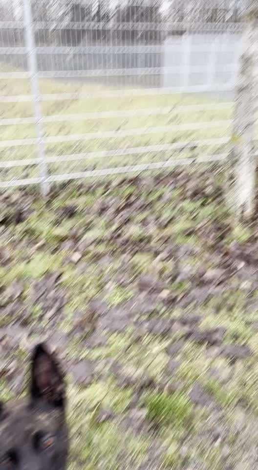 Trick Challenge Nr.5-Beitrag-Bild